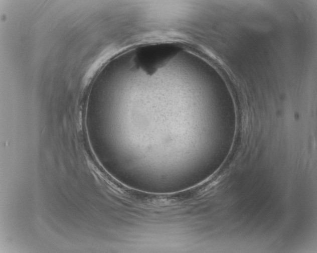 X0000055511459200509022045