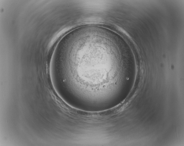 X0000055511461200509022045