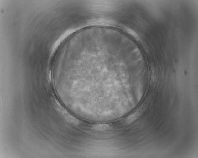 X0000055511462200509022045