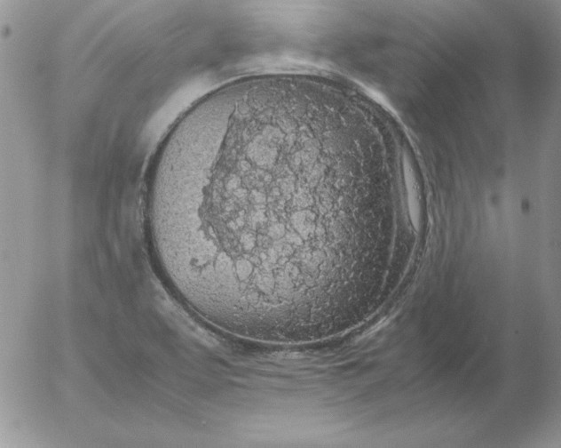 X0000055511463200509022045