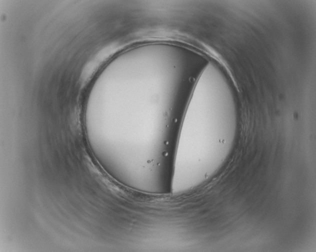 X0000055511464200509022045