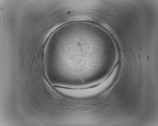 X0000055511465200509022045