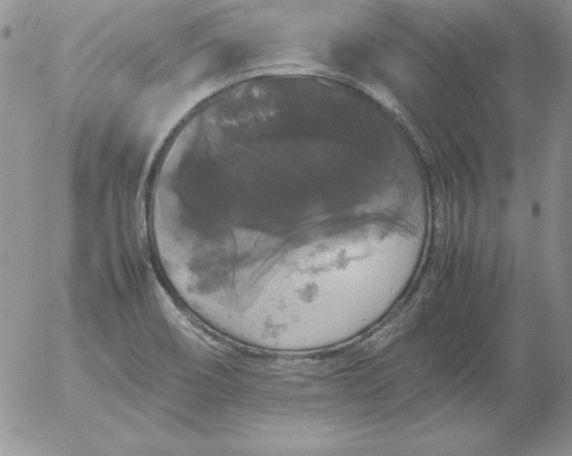 X0000055511466200509022045