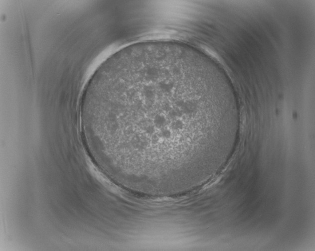 X0000055511467200509022045