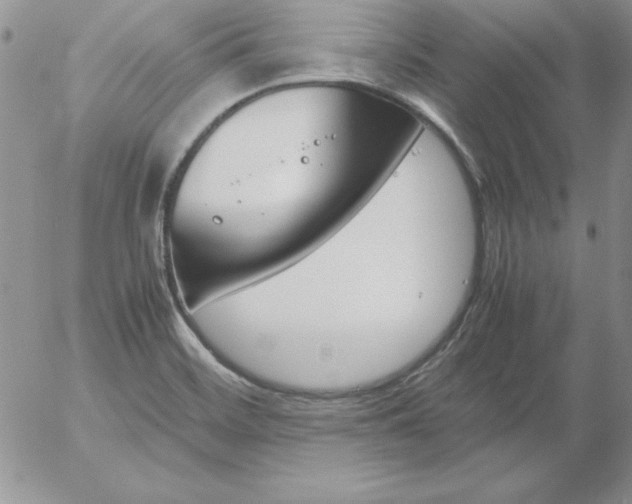 X0000055511468200509022045