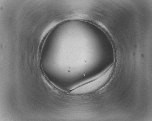 X0000055511469200509022045