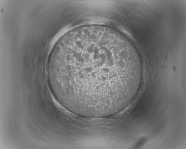 X0000055511471200509022045