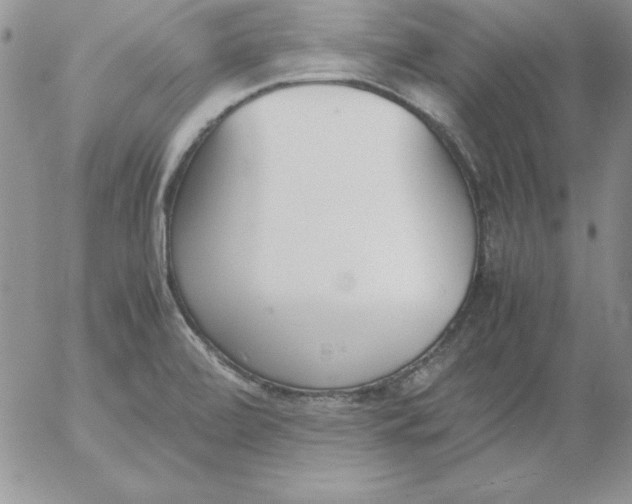 X0000055511472200509022045