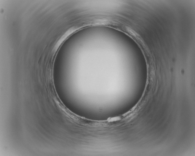 X0000055511473200509022045