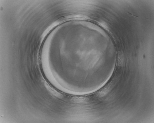 X0000055511474200509022045