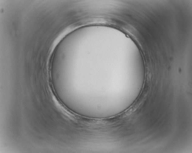 X0000055511475200509022045