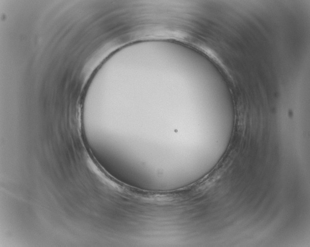 X0000055511476200509022045