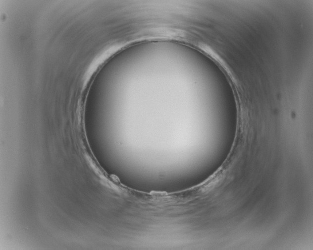 X0000055511477200509022045