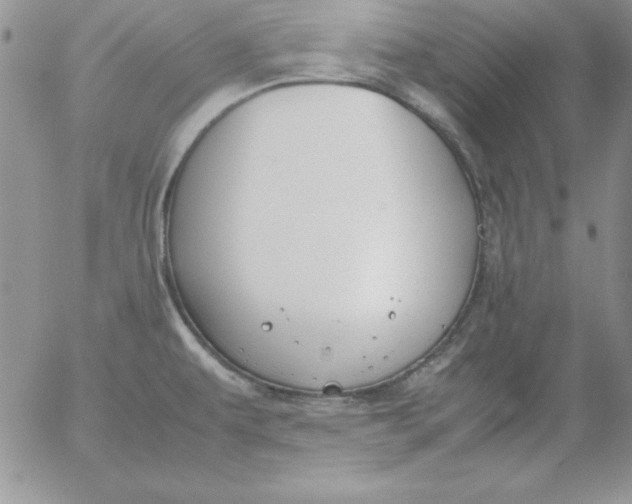 X0000055511479200509022045