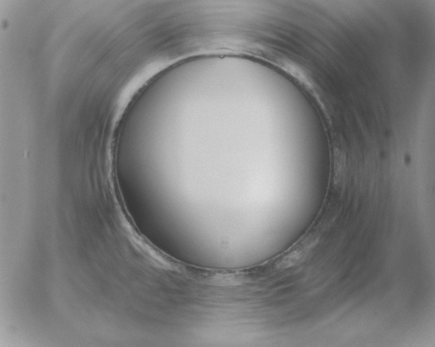 X0000055511480200509022045