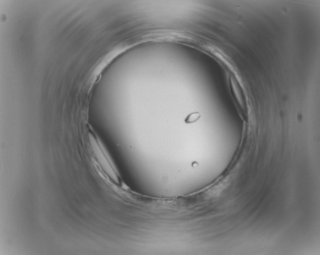 X0000055511481200509022045