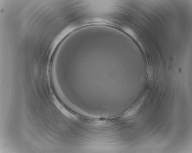 X0000055511482200509022045