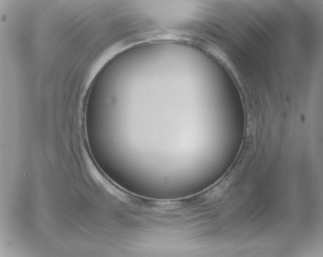 X0000055511483200509022045