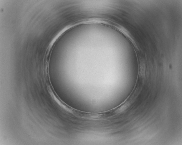 X0000055511484200509022045