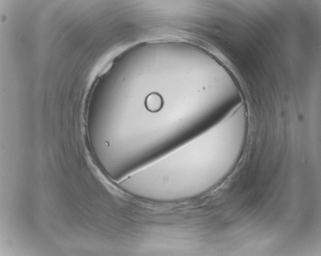 X0000055511485200509022045