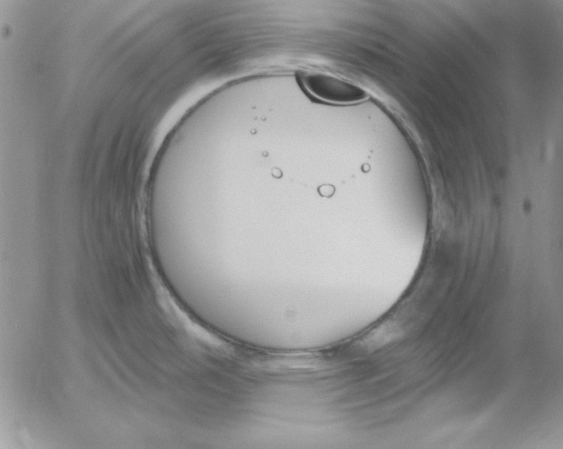 X0000055511486200509022045