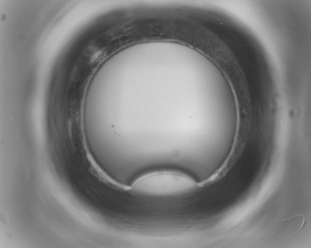 X0000055511487200509022045