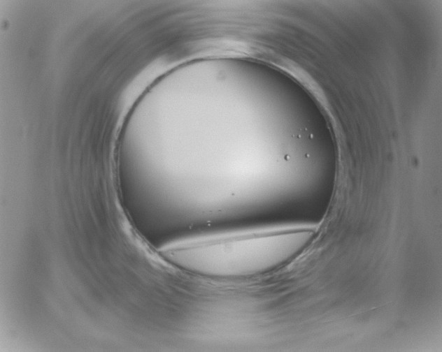 X0000055511488200509022045