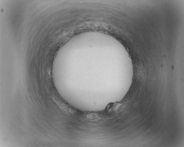 X0000055511489200509022044