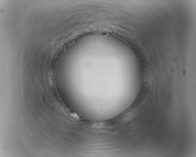 X0000055511490200509022044