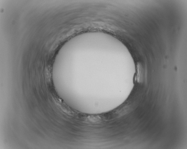 X0000055511491200509022044