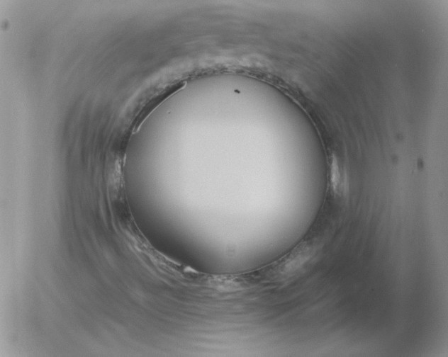 X0000055511492200509022044