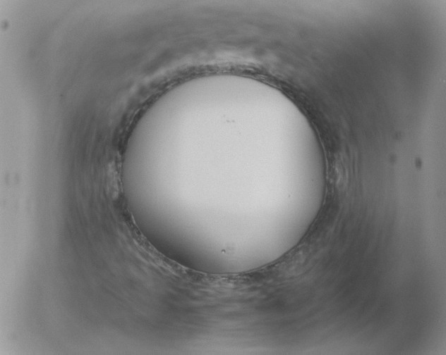 X0000055511493200509022044