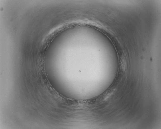 X0000055511494200509022044