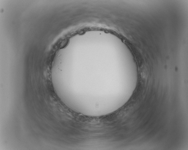 X0000055511495200509022044