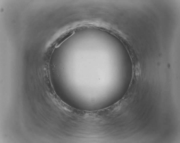 X0000055511496200509022044