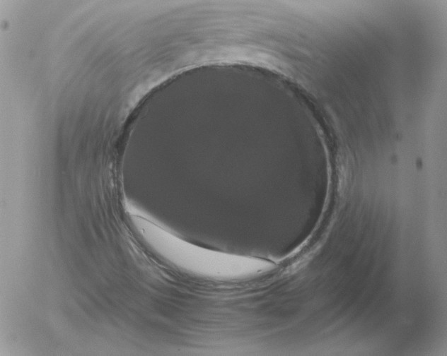 X0000055511497200509022044