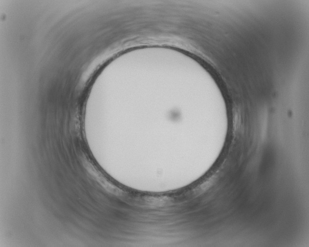 X0000055511498200509022044