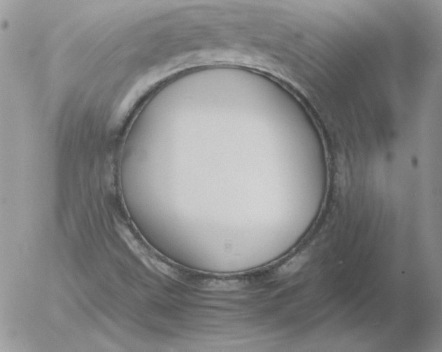 X0000055511499200509022044