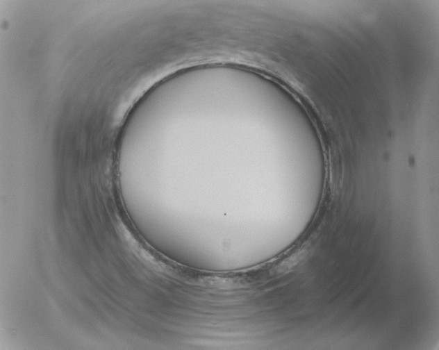 X0000055511500200509022044