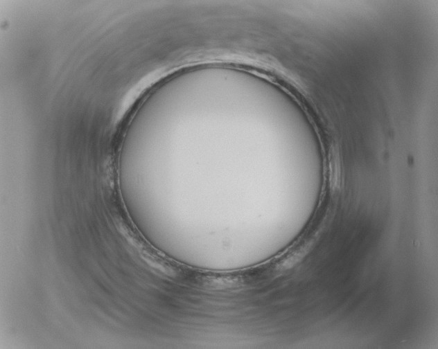 X0000055511501200509022044