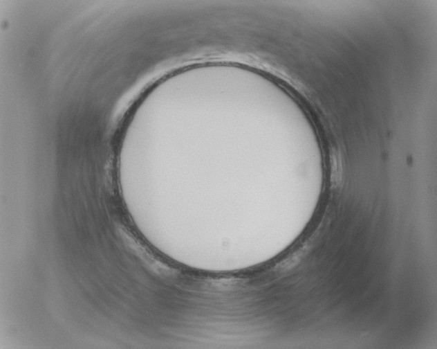 X0000055511502200509022044