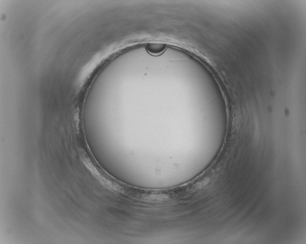 X0000055511503200509022044