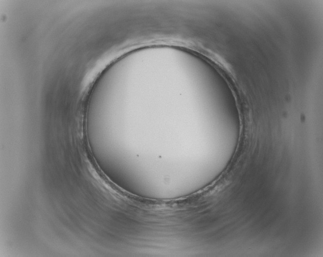 X0000055511504200509022044