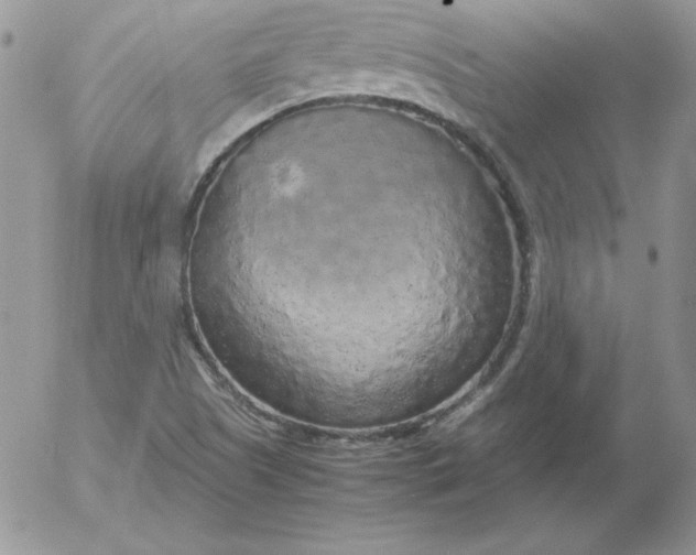 X0000055511505200509022044