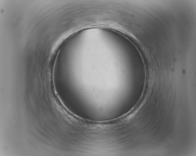 X0000055511506200509022044