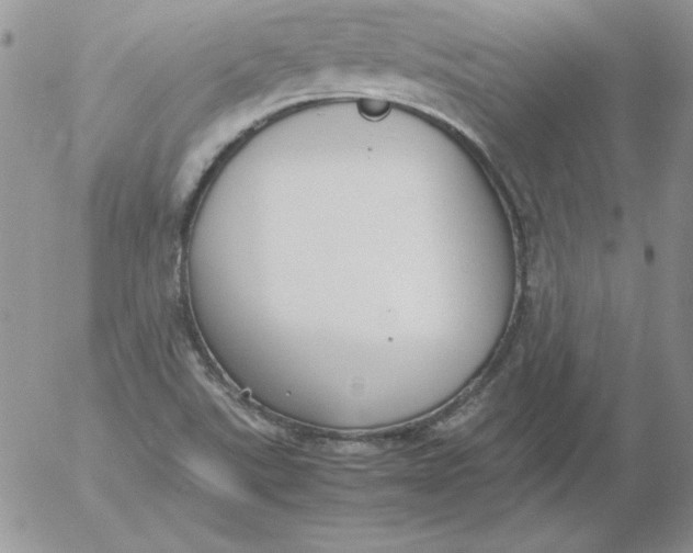 X0000055511507200509022044