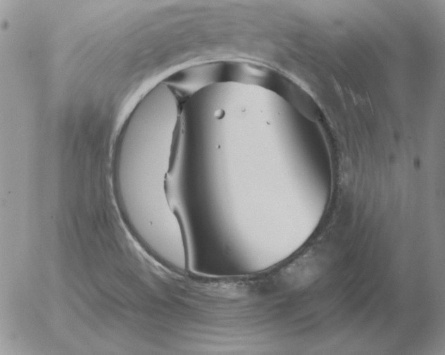 X0000055511508200509022044