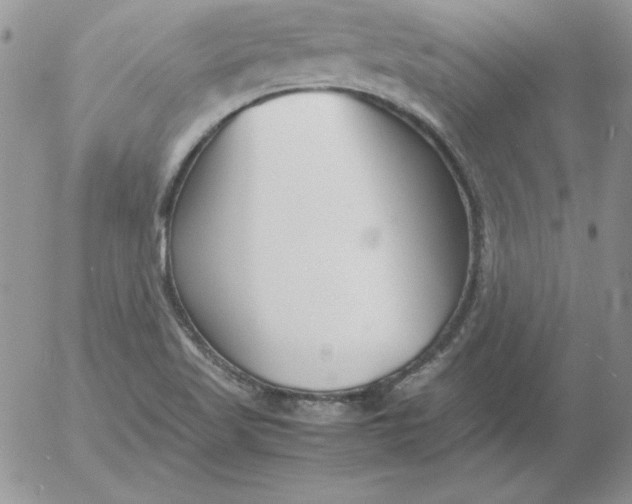 X0000055511509200509022044