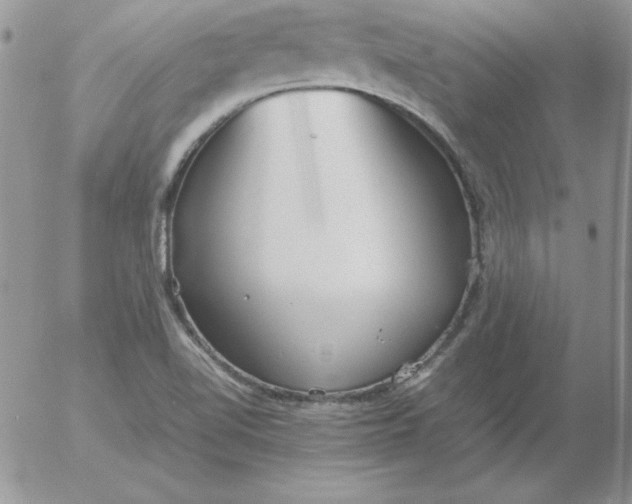 X0000055511510200509022044