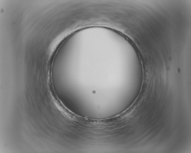 X0000055511511200509022044